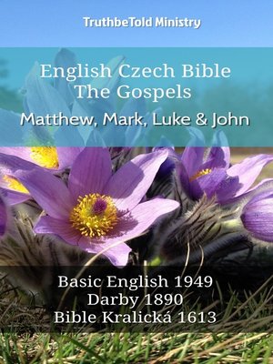 cover image of English Czech Bible--The Gospels--Matthew, Mark, Luke and John